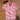 Leaf Printed Boys Red Shirt