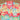 Fruit Print Multi Colour 2 Piece Dress Boys