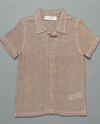  Solid Brown Shirt for Boys - Lion and Fish