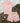 Boys Zaraffah Printed Shirt & Short Co-Ord Set Pastel Pink