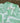 Boys & Girls Unisex Zaraffah Printed Shirt & Short Co-Ord Set Pastel Green