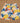 Boys Tree Print Short Blue Yellow