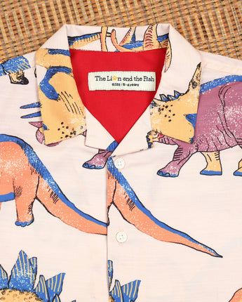 Dinosaur Printed Stylish Shirts for Boys